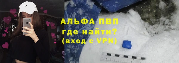 спиды Богородск