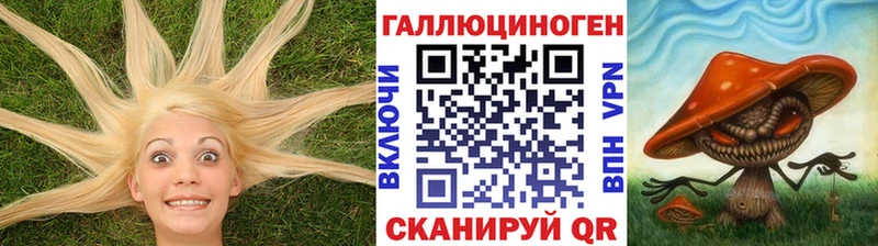 Псилоцибиновые грибы Psilocybine cubensis  Кстово 
