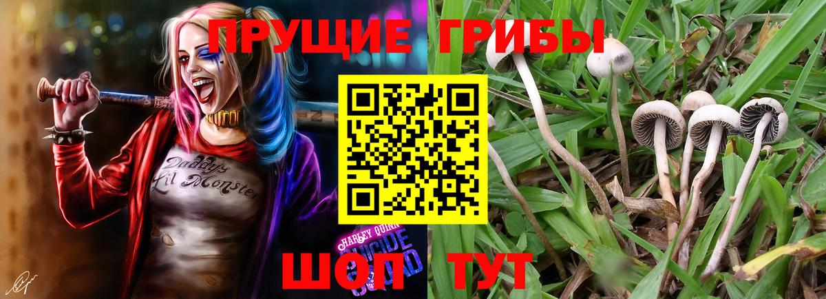 Кстово  Псилоцибиновые грибы MAGIC MUSHROOMS  Псилоцибиновые грибы MAGIC MUSHROOMS  что такое   Вход с VPN 