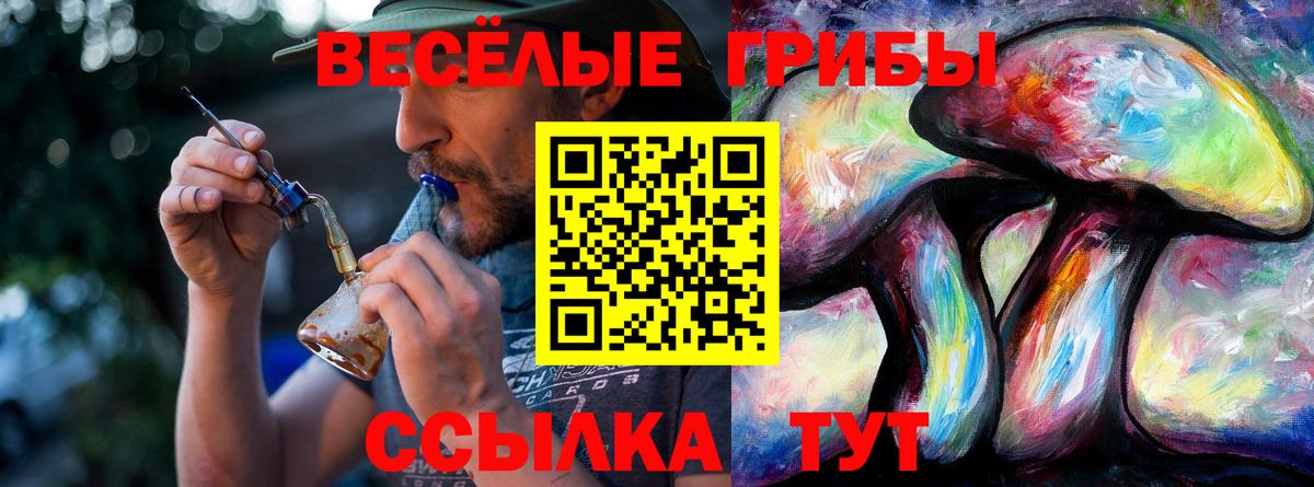 Галлюциногенные грибы мицелий Кстово